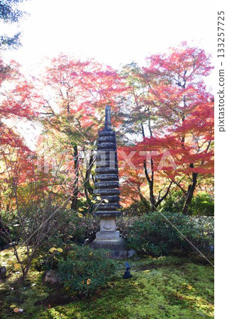Kyoto's famous autumn foliage spot: Tenryuji Temple Hogonin Kyoto's famous autumn foliage spot: Tenryuji Temple Hogonin 133257725
