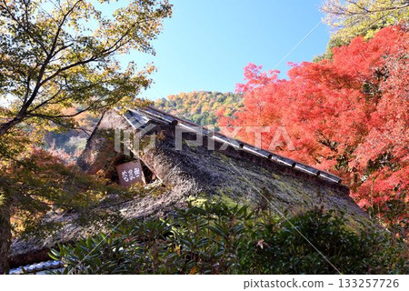 Kyoto's famous autumn foliage spot: Tenryuji Temple Hogonin Kyoto's famous autumn foliage spot: Tenryuji Temple Hogonin 133257726