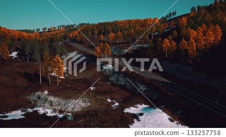 Scenic view showcases a winding road through a forest of bright orange trees. Snow patches remain as a reminder of winter, creating a stunning contrast with the fall foliage. 133257758