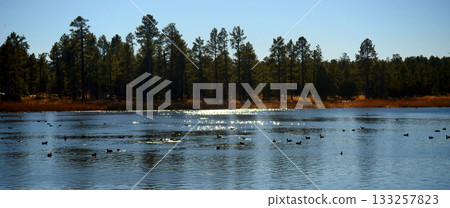 Lake of the Woods Arizona 133257823