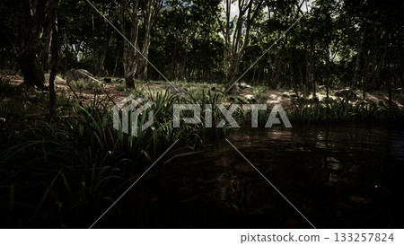 Gentle sunlight filters through the trees, illuminating a peaceful scene where vibrant green grass meets a calm water surface, creating a serene connection between land and water. 133257824