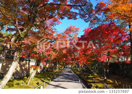 Kyoto's famous autumn foliage spot: Tenryuji Temple Hogonin Kyoto's famous autumn foliage spot: Tenryuji Temple Hogonin 133257897