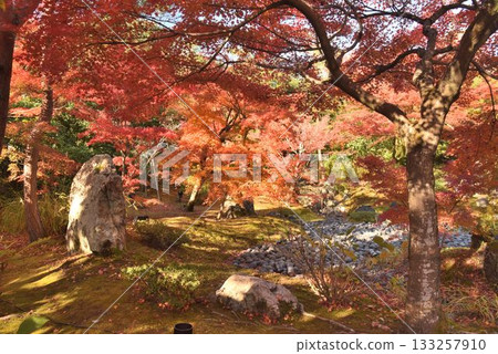 Kyoto's famous autumn foliage spot: Tenryuji Temple Hogonin Kyoto's famous autumn foliage spot: Tenryuji Temple Hogonin 133257910