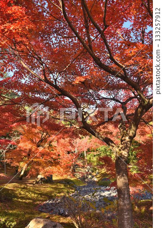 Kyoto's famous autumn foliage spot: Tenryuji Temple Hogonin Kyoto's famous autumn foliage spot: Tenryuji Temple Hogonin 133257912
