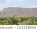 Palm trees in green oasis in desert arid landscape between Agdz and Zagora towns in Atlas Mountains, Morocco, North Africa 133258004
