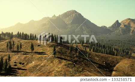 Golden sunlight bathes the rugged mountains and lush forests, creating a serene scene at sunset. The calm earth and trees stretch across the rolling hills, inviting exploration and reflection. 133258571