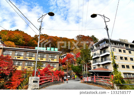 Masutomi Radium Hot Springs Gorge (Hokuto City, Yamanashi Prefecture) [November 2025] 133258577