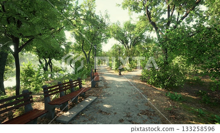 A serene walking path winds through lush trees and greenery. Benches line the trail, inviting visitors to relax and enjoy nature on a warm, sunny afternoon. 133258596