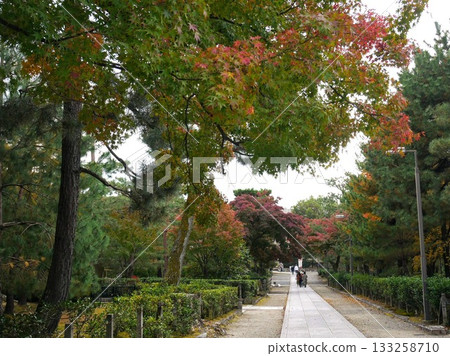 在京都邂逅美麗的秋景 在京都邂逅美麗的秋景 133258710