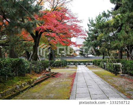 在京都邂逅美麗的秋景 133258712