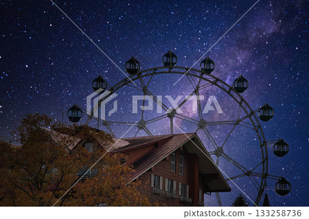 Retro amusement park ferris wheel in a resort area Retro amusement park ferris wheel in a resort area 133258736