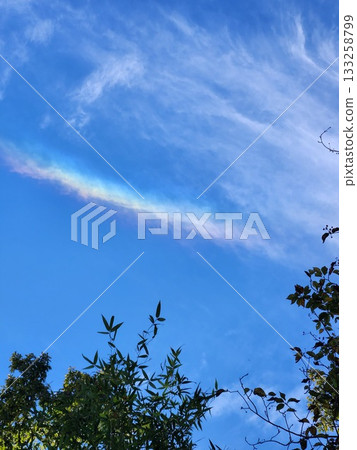 Rainbow clouds and tree silhouettes floating in the blue sky | A natural phenomenon that gives you a sense of good fortune Rainbow clouds and tree silhouettes floating in the blue sky | A natural phenomenon that gives you a sense of good fortune 133258799