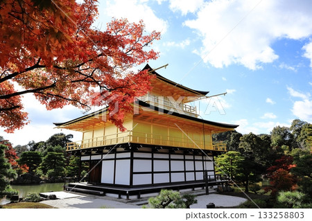 金閣寺 金閣寺 133258803