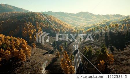 Colorful autumn leaves cover rolling hills as a train track winds through the landscape under a clear sky. The warm sunlight enhances the beauty of this serene wilderness. 133258845