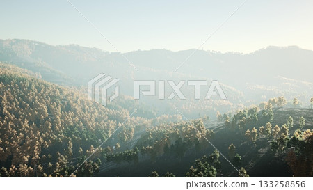 Morning sunlight casts a golden glow over vast hills blanketed with dense trees. A sense of peace fills the cool, crisp air as nature awakens in a serene mountain landscape. Morning sunlight casts a golden glow over vast hills blanketed with dense trees. A sense of peace fills the cool, crisp air as nature awakens in a serene mountain landscape. 133258856