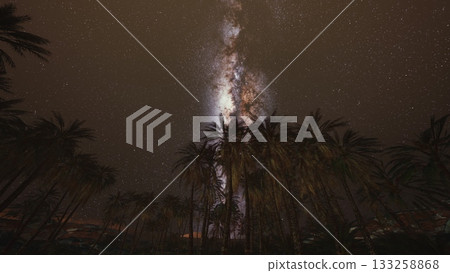 Under a clear night sky, the stunning Milky Way stretches above tall palm trees. Stars twinkle brightly, creating a peaceful atmosphere in this serene landscape, perfect for stargazing. 133258868