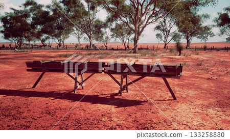 Two rustic wooden benches face a vast, dry landscape. Surrounding trees add contrasting green shades. 133258880