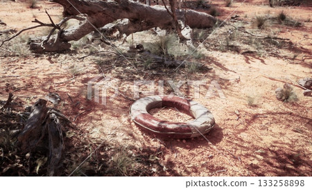 A weathered lifebuoy rests on the dry ground, surrounded by sparse vegetation and scattered branches. A fallen tree looms nearby, capturing a sense of isolation in this rugged landscape. A weathered lifebuoy rests on the dry ground, surrounded by sparse vegetation and scattered branches. A fallen tree looms nearby, capturing a sense of isolation in this rugged landscape. 133258898