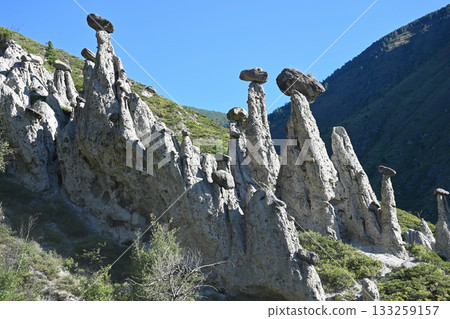 Landscape with a unique natural phenomenon of Stone Mushrooms. Altai, Russia Landscape with a unique natural phenomenon of Stone Mushrooms. Altai, Russia 133259157