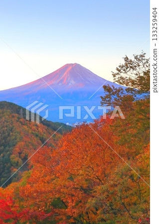 從秋色中的御坂山口天花茶屋眺望富士山 133259404
