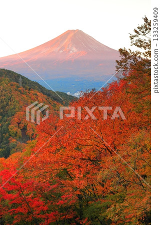 View of Mt. Fuji from Misaka Pass Tenka Chaya in autumn colors 133259409