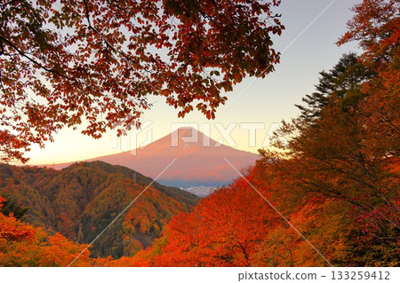 從秋色中的御坂山口天花茶屋眺望富士山 133259412