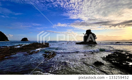 台之浦散步道 [鴨川市小湊] 133259452