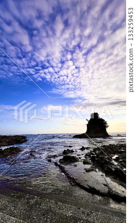 Tainoura Promenade [Kominato, Kamogawa City] 133259453