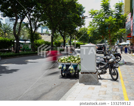 Ho Chi Minh City in Vietnam Ho Chi Minh City in Vietnam 133259512