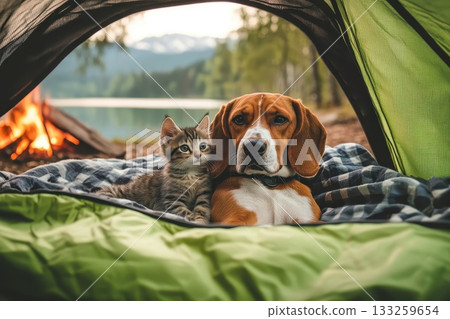 Adorable Dog and Cat Snuggled Together in Camping Tent Near Lake in Nature Setting Adorable Dog and Cat Snuggled Together in Camping Tent Near Lake in Nature Setting 133259654