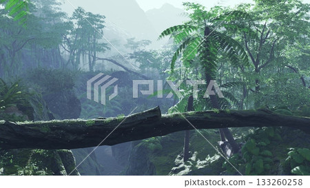 Dense greenery fills the valley as sunlight streams through the tall trees. A fallen log creates a natural bridge in the serene landscape, inviting exploration and calm. 133260258