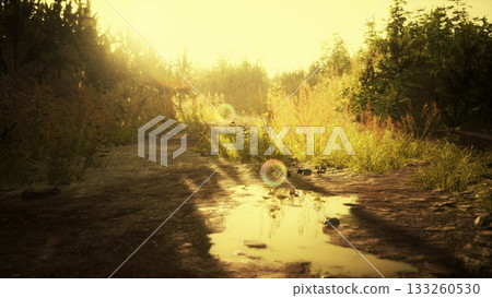 A peaceful dirt path winds through golden sunlight in a serene landscape. Wisps of grass sway softly, while bubbles float gently in the warm air, enhancing the tranquil atmosphere. 133260530