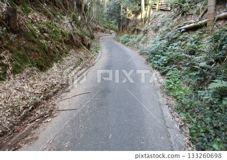 The way to the mountain 133260698