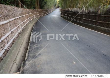 與竹林的風景 133260699