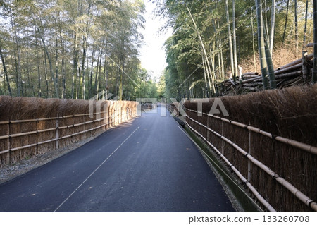 與竹林的風景 與竹林的風景 133260708