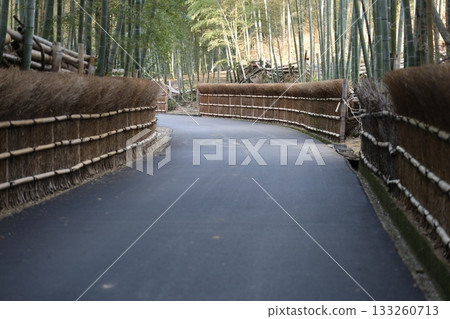 Scenery with bamboo grove Scenery with bamboo grove 133260713