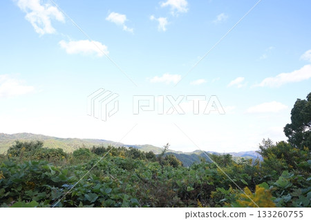 從山頂看 從山頂看 133260755