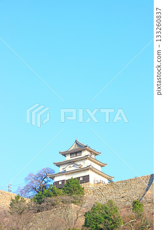 香川縣丸龜市丸龜城風景 133260837