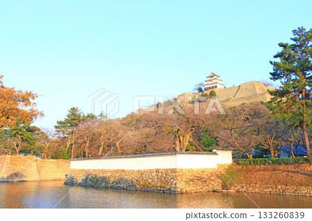 Scenery of Marugame Castle, Marugame City, Kagawa Prefecture 133260839