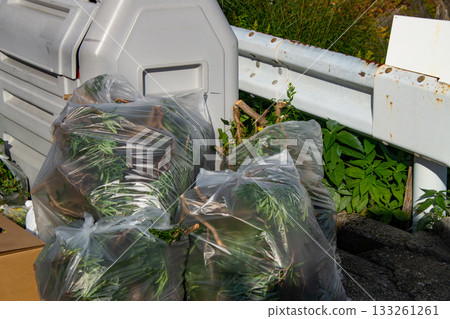 垃圾收集點的植物殘渣 133261261