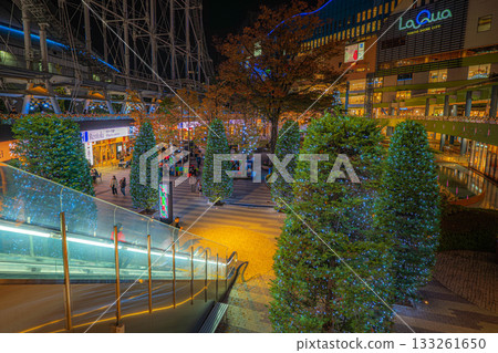 Tokyo Dome City Winter Illuminations 2025 [Bunkyo Ward, Tokyo] 133261650