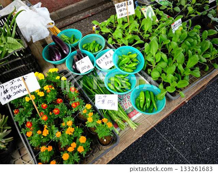 Kochi City Sunday Market Street Market Blue Sky Market Vegetables and Fruits 133261683
