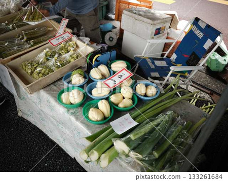 Kochi City Sunday Market Street Market Blue Sky Market Vegetables and Fruits Kochi City Sunday Market Street Market Blue Sky Market Vegetables and Fruits 133261684