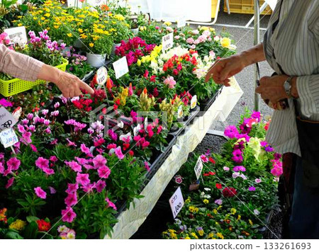 高知市週日市場街市場藍天市場蔬菜和水果 高知市週日市場街市場藍天市場蔬菜和水果 133261693