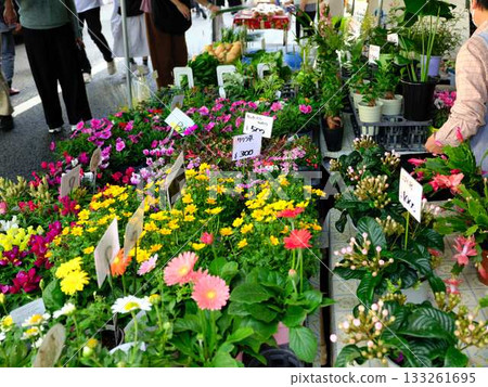 Kochi City Sunday Market Street Market Blue Sky Market Vegetables and Fruits 133261695