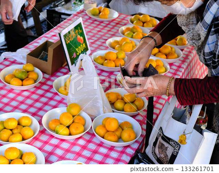 Kochi City Sunday Market Street Market Blue Sky Market Vegetables and Fruits 133261701