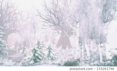 Snow covered trees stand tall in a mystical forest, where the air is crisp and fog blankets the ground. Nature remains silent as winter casts its serene spell on the landscape. 133261746