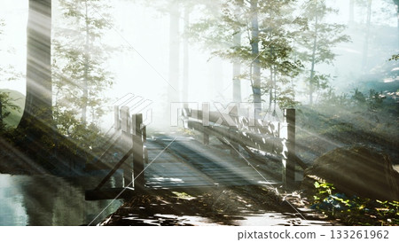 Soft sunlight filters through trees to illuminate a rustic wooden bridge over a serene stream. Mist hangs in the air, creating a peaceful atmosphere in the forest at dawn. 133261962