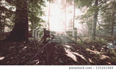 A serene wooden bridge spans a gentle stream, surrounded by lush trees bathed in soft morning light. The air is fresh, and a mystical atmosphere envelops the tranquil forest scene. A serene wooden bridge spans a gentle stream, surrounded by lush trees bathed in soft morning light. The air is fresh, and a mystical atmosphere envelops the tranquil forest scene. 133261984
