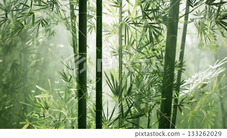 Sunlight filters through tall bamboo stalks, illuminating delicate leaves and casting gentle shadows. A serene moment in nature, inviting peace and reflection among vibrant greenery. Sunlight filters through tall bamboo stalks, illuminating delicate leaves and casting gentle shadows. A serene moment in nature, inviting peace and reflection among vibrant greenery. 133262029